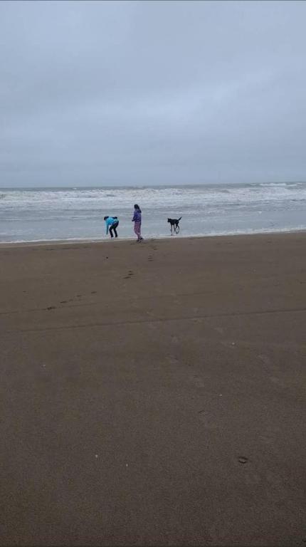 141 Cortada 4198 Villa Gesell, Provincia de Buenos Aires - 3