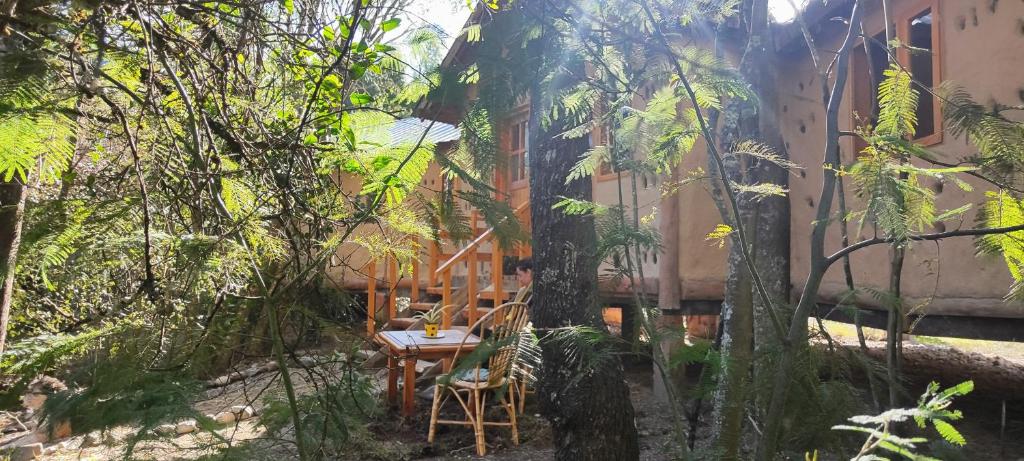 Rey Sol Reina Luna - 5