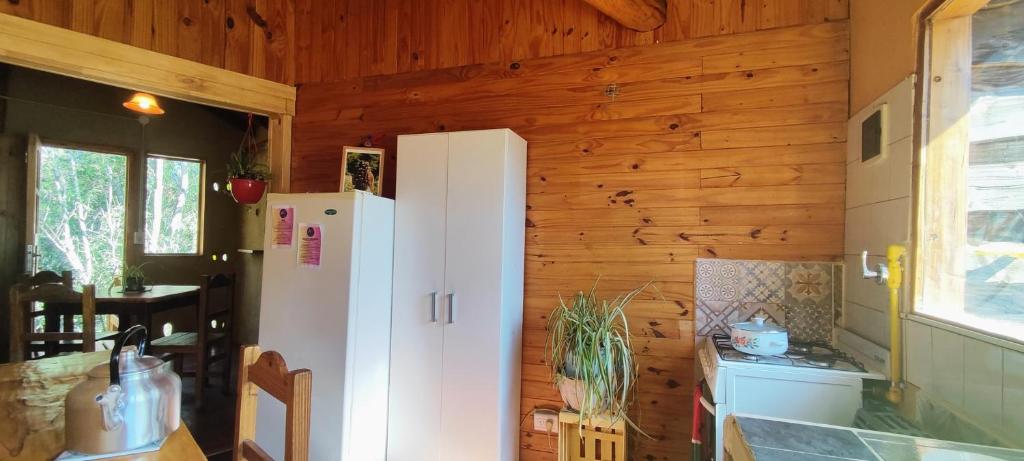 Rey Sol Reina Luna - 3