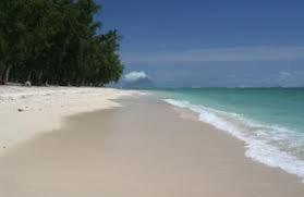 Son House Studio, Flic-en-Flac