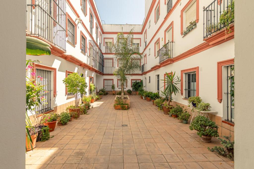 Green-Apartments Museo - 5