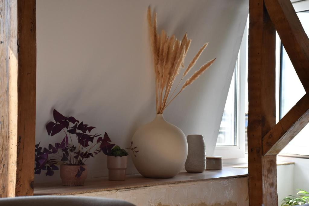 Loft plein cœur de la Bastide - 3