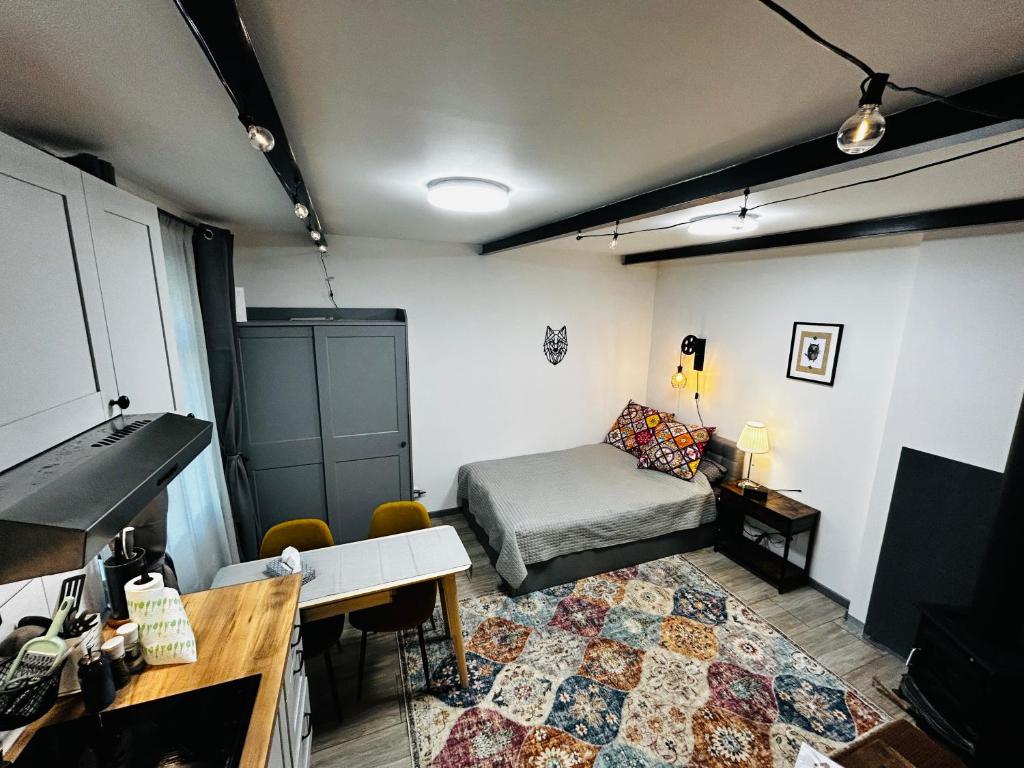 Urban Wolfie with FREE parking & own bicycle, Riga