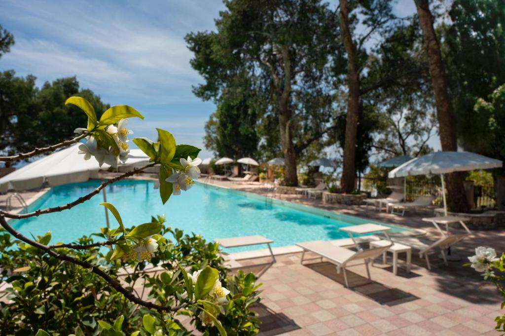 スイミングプール