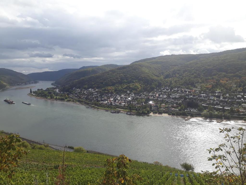 ChristRose, Trechtingshausen