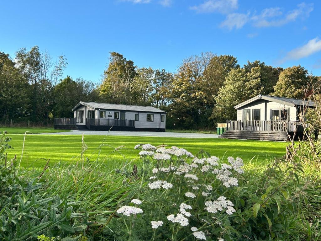 Willow lodge, Brynteg