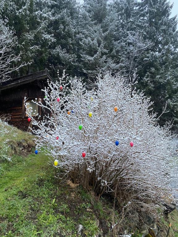 Ferienhaus Klenkes - entschleunigen und erholen - 5