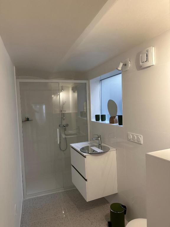 Grand studio refait à neuf - 5