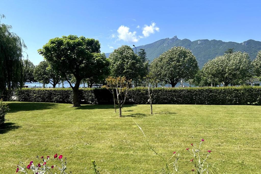 Studio bord du lac terrasse - 3