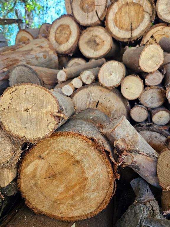 Cabañas Club Paraíso - 5