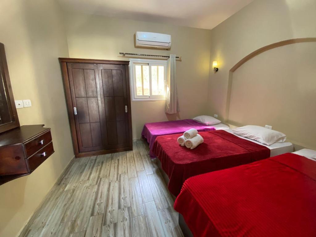 Arigato dahab, Dahab