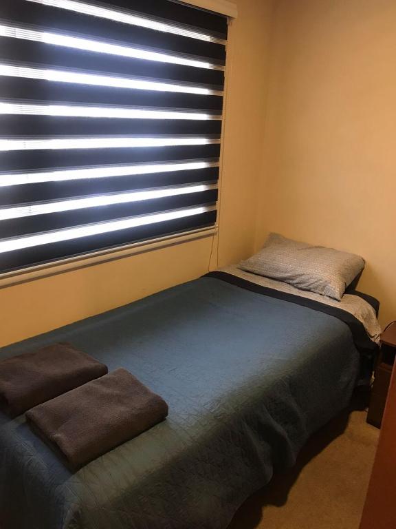 Lagos Temuco - 3