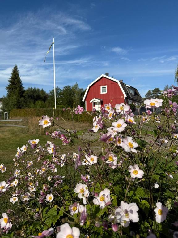 Traumhaus mit Seegrundstück, Holmsjö