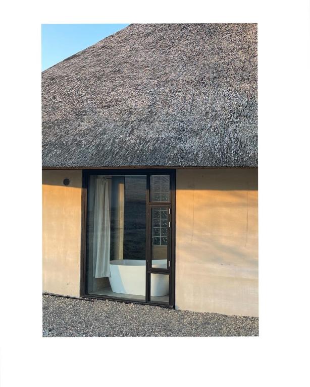 Sauseriai - Inspired by Nature S2, Prystovai