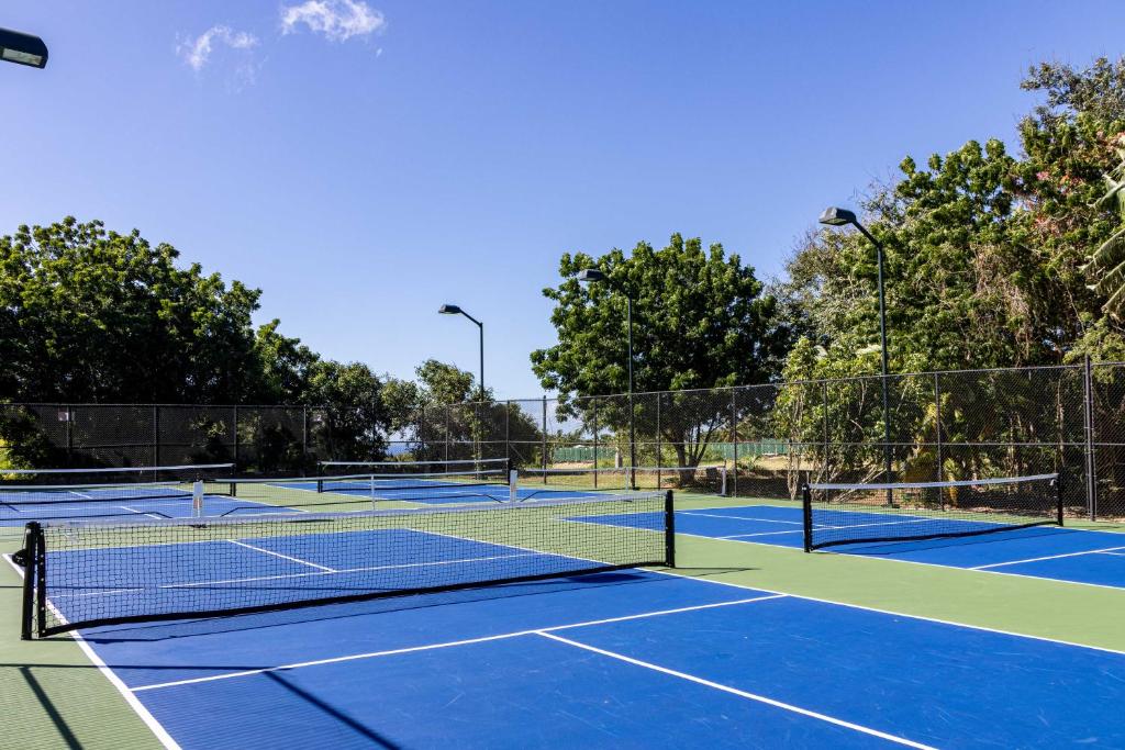 Tennis court