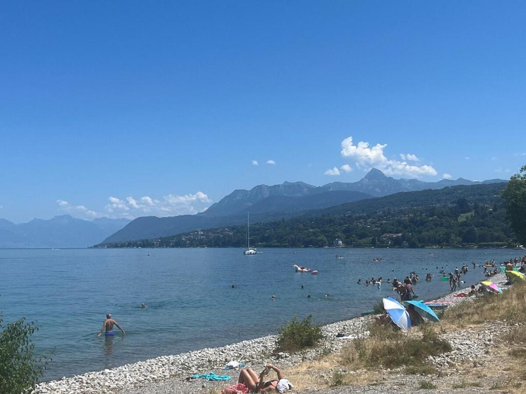 Appartement accès direct au lac - parc privatif - 4