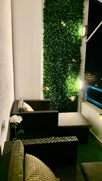 Studio Gio - Paraiso del Sur 전경