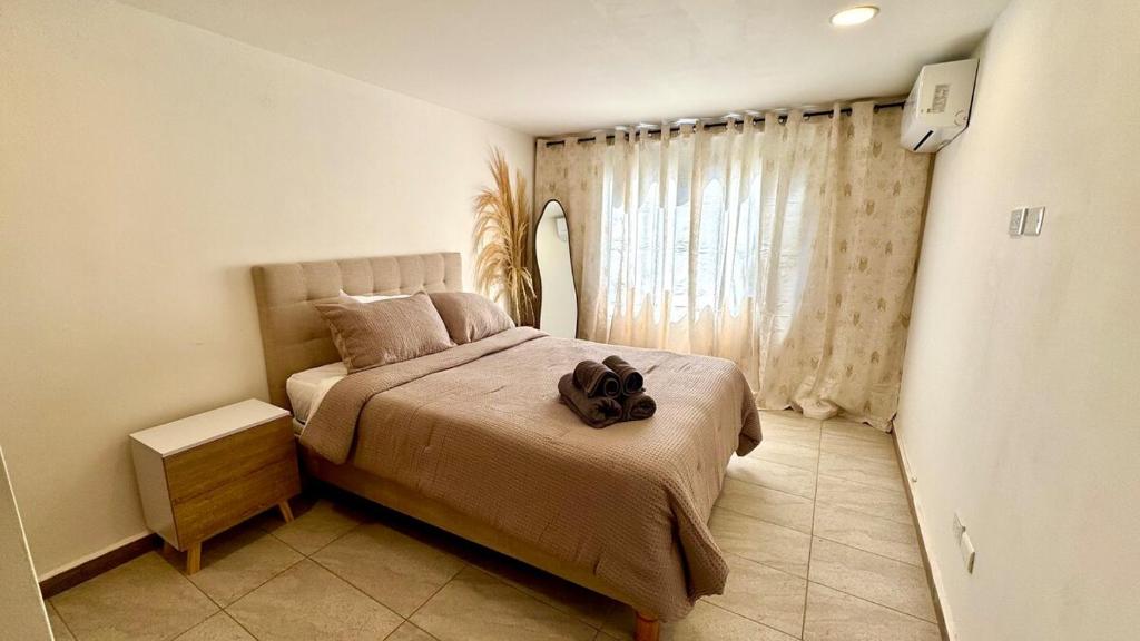 Modern and cozy studio apartment - Cali SanAntonio - 2