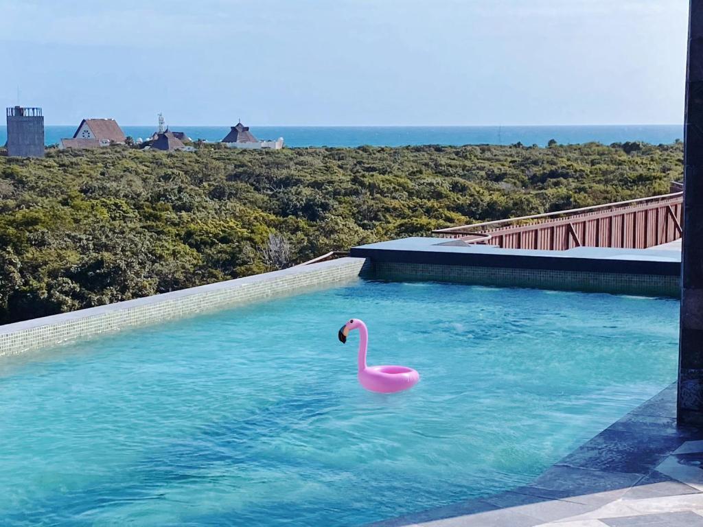 1-BD Apt with Ocean View Rooftop Pool - 4