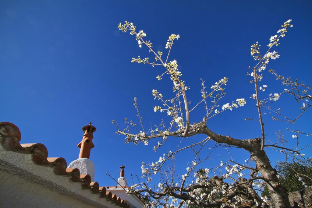 Villa Santorini - 3