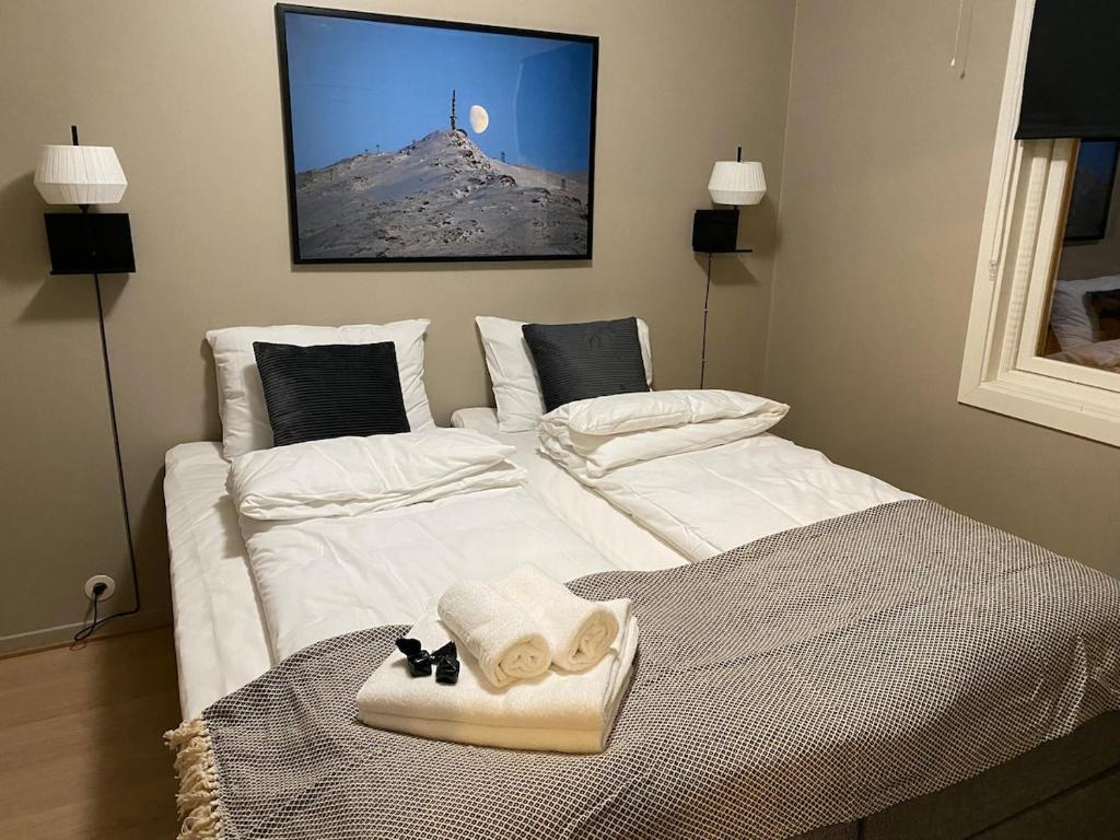 Big central house, free parking, wifi, 3 bedrooms, Narvik