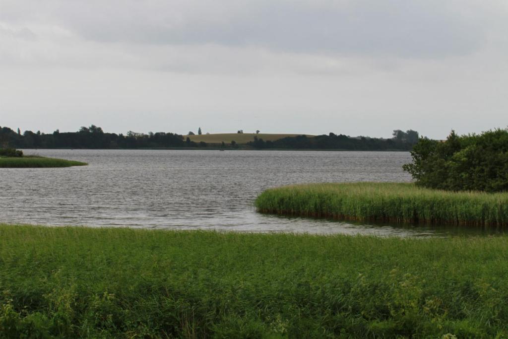 Surrounding environment