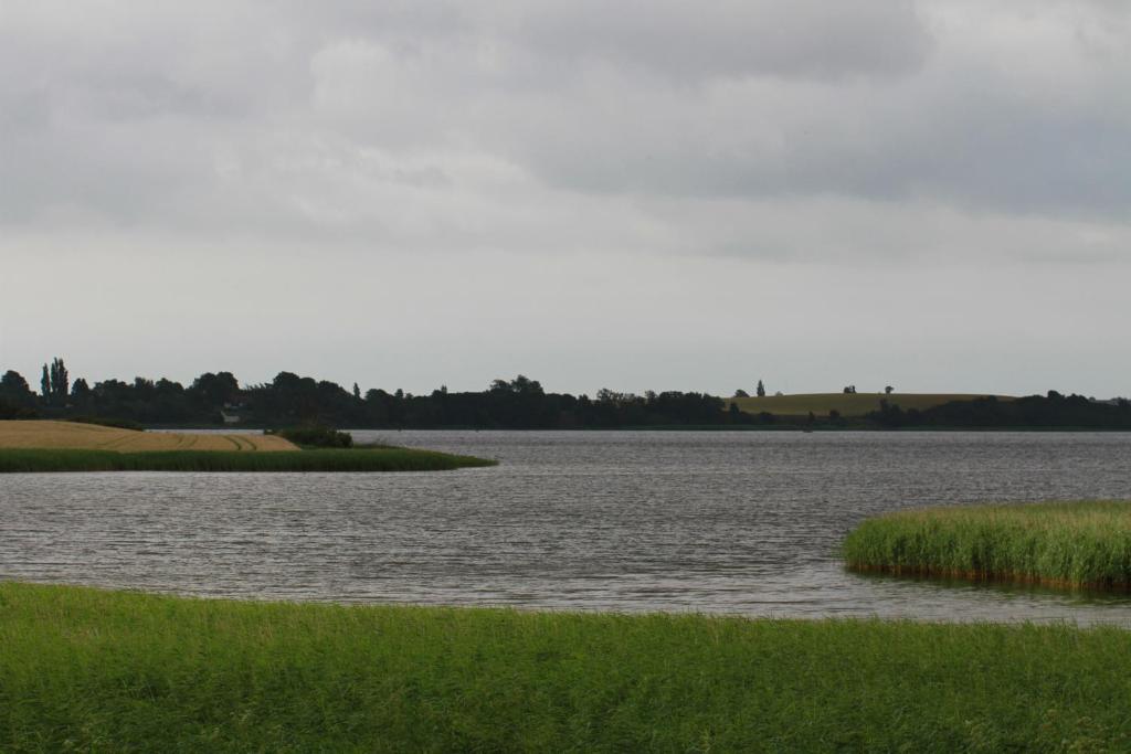 Surrounding environment