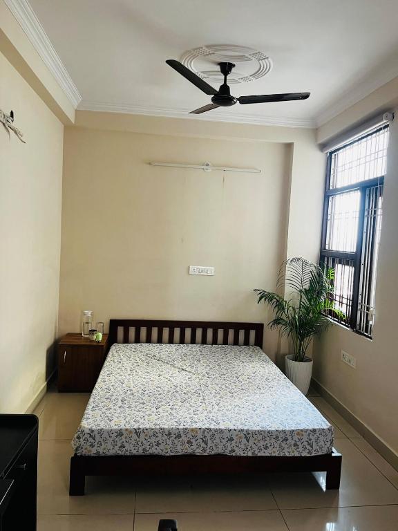 Shivalaye Bnb, Džajpur