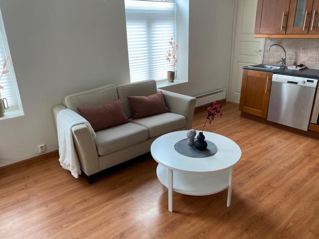 Central bus station apartment, wifi, tv, Narvik