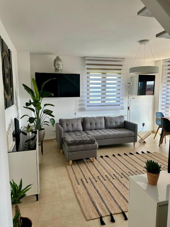 El capricho de la Hayuela, Ayuela