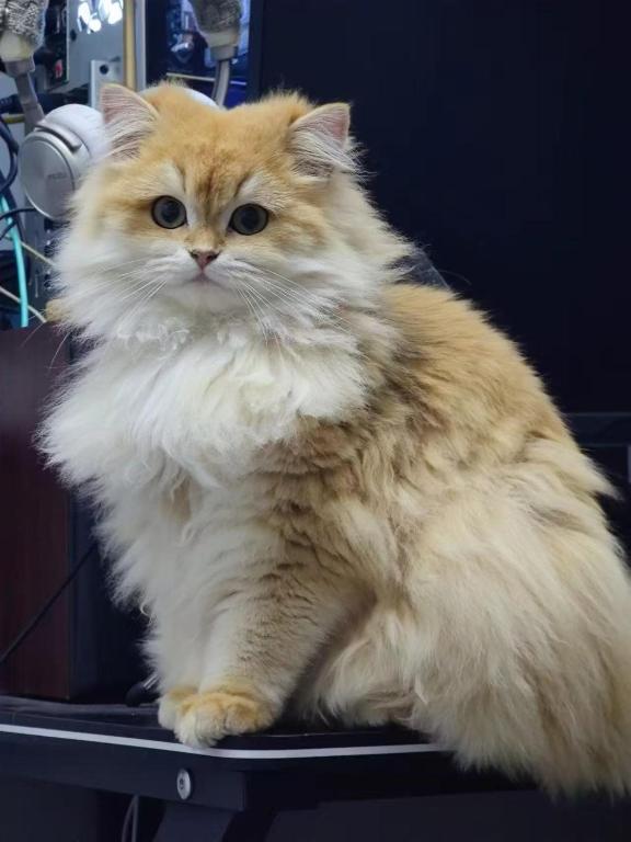 Witcher Hostel, Vientiane