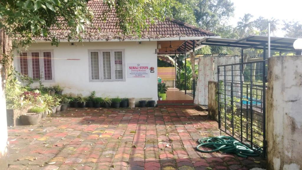 Suraj Stays Glowing Meadows, Chewarra