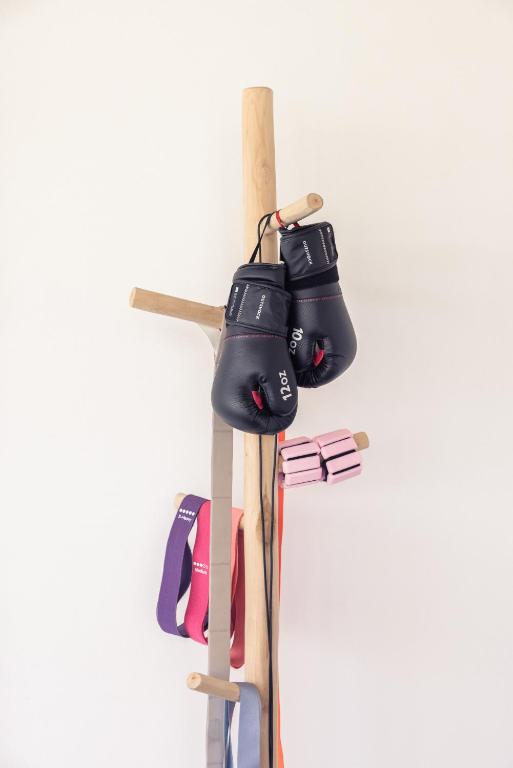 スポーツ/アクティビティ