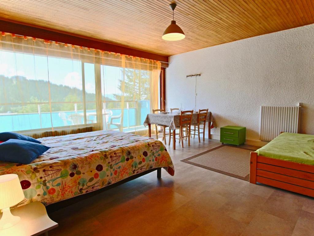 Grand studio rénové, 4 pers, animaux admis - FR-1-340-132 - 2