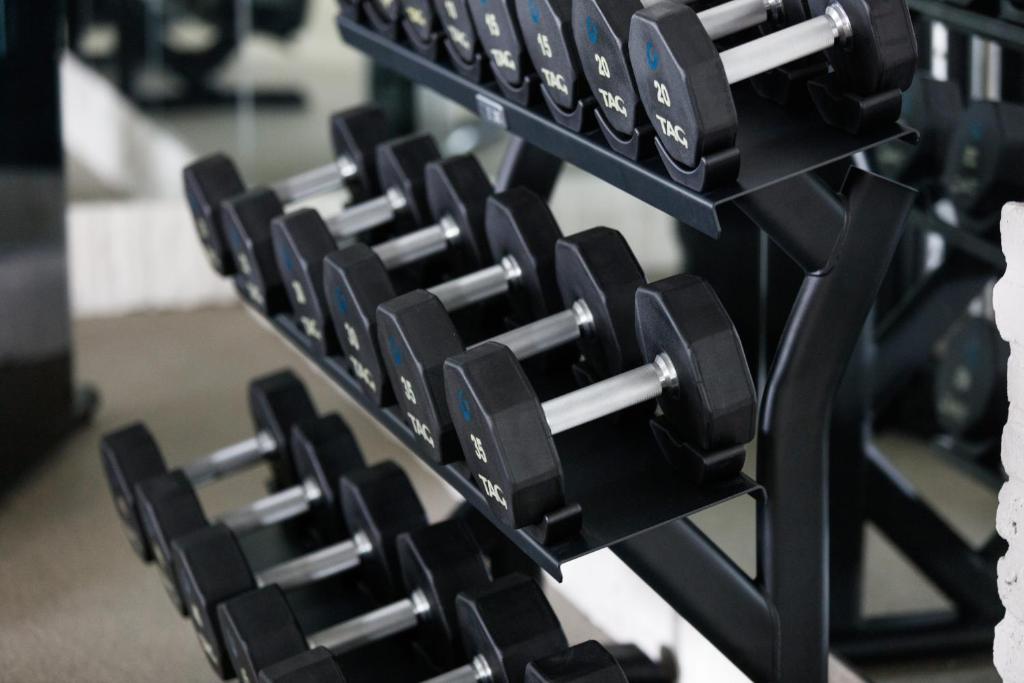 Palestra