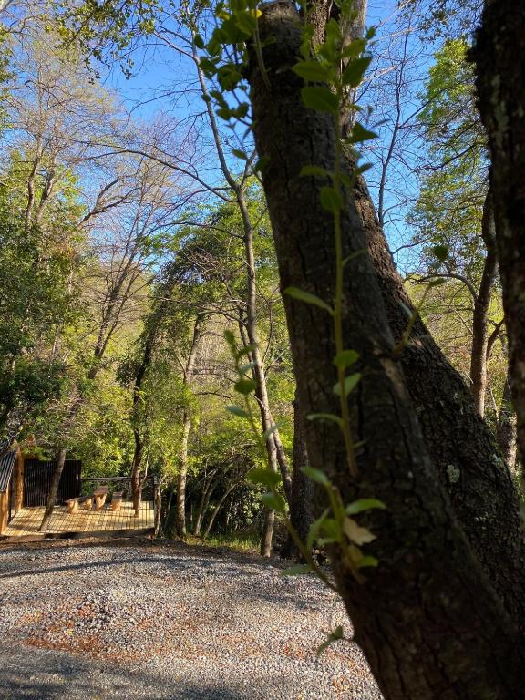 Tiny house Roble en Vilches alto - 5