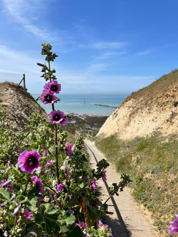 Cairo House, Peacehaven