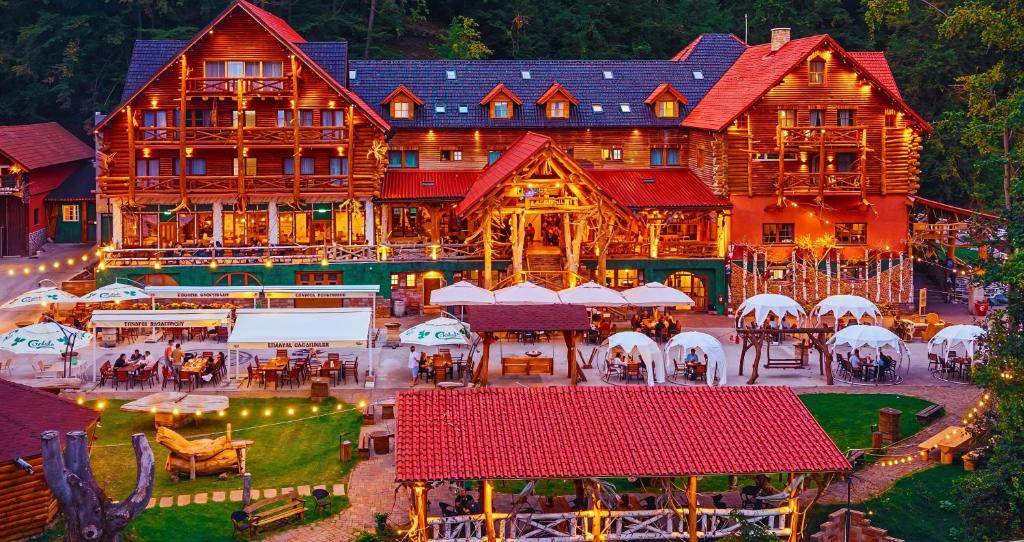 Conacul Radacinilor, Petroşani