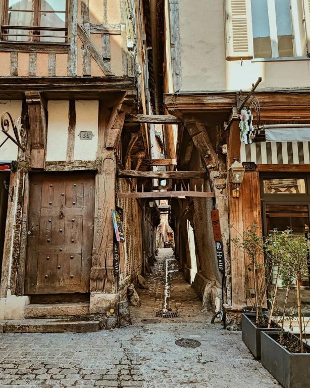 Appartement unique au Cœur historique de Troyes - 5