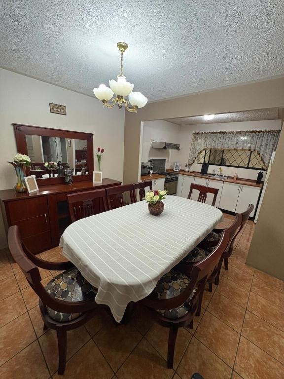 Very comfortable accommodation in the city of Cuenca - 1