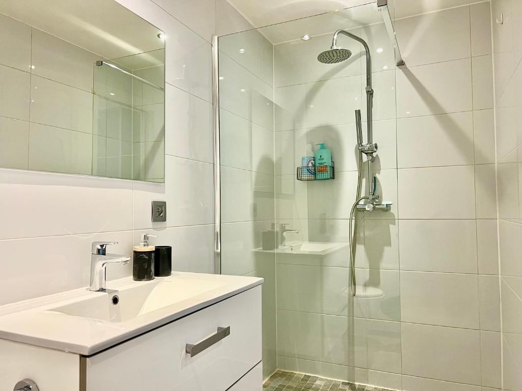 Charmant appartements Sallanches - 5