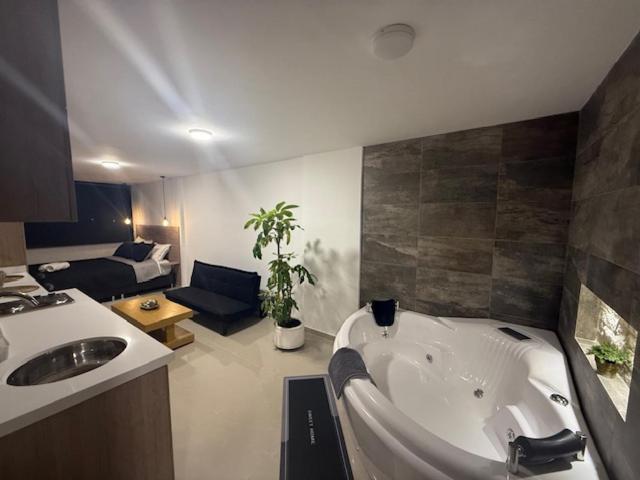 Apto con Jacuzzi Privado y Cama Doble - 1