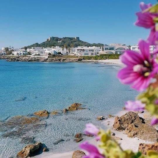 Appartement Nawel S1, Kelibia