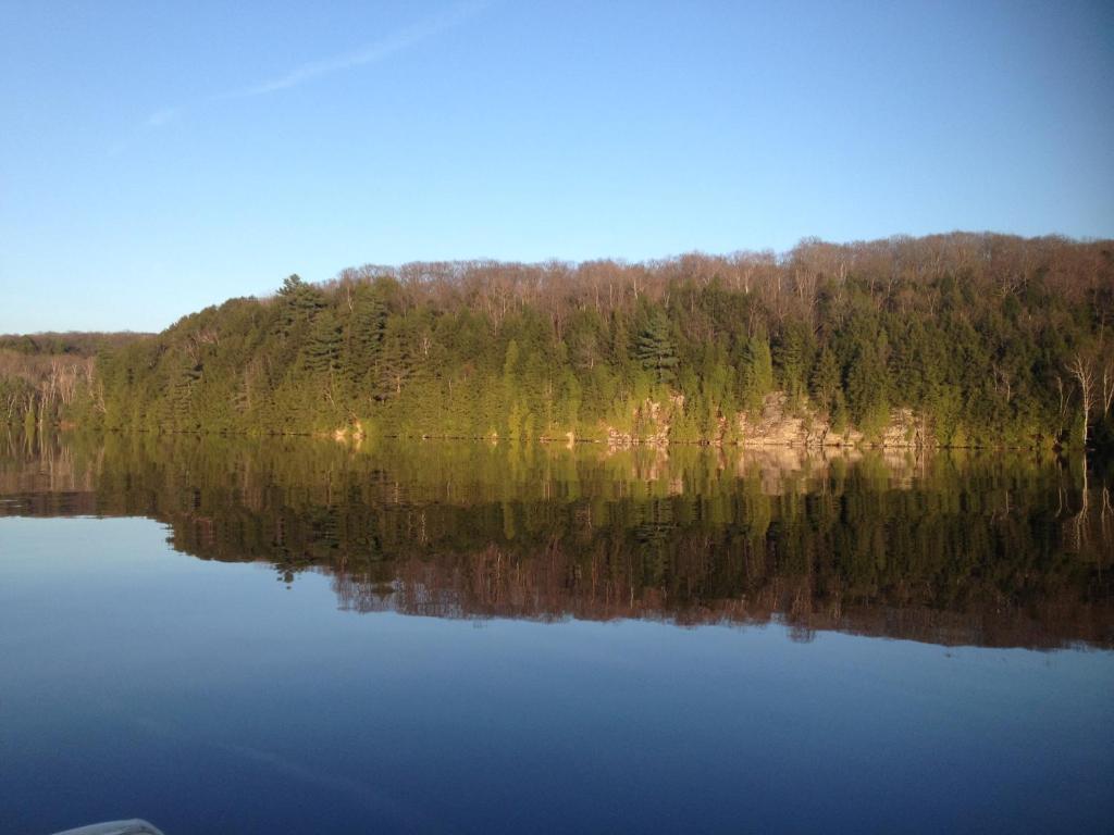 Surrounding environment