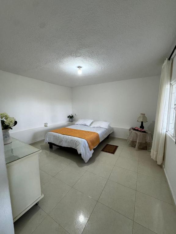 Manaju - Finca Campestre y Glamping - 4