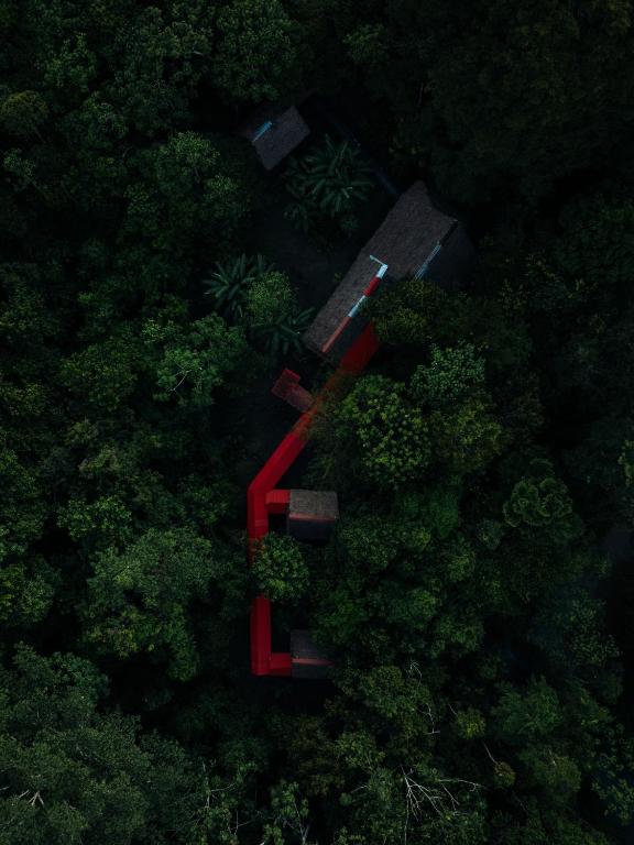Allpayacu Lodge- Accomodation, Food & Jungle Tour Included - 5