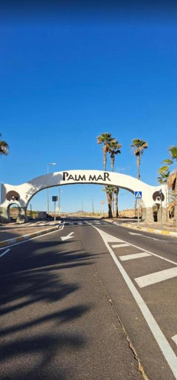 Mocan WAM, Palm-mar