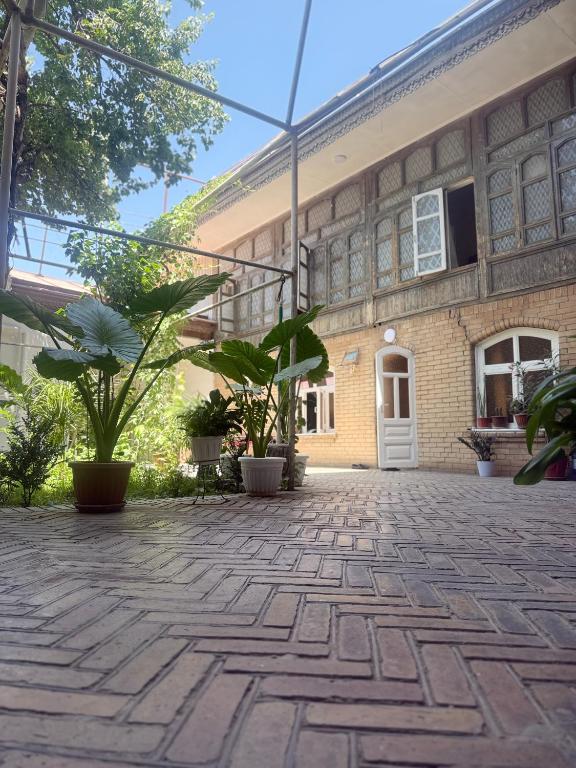 Ozod Guest House, Samarkand