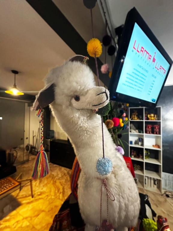 Llama Llama - Hostel & Coworking - 4