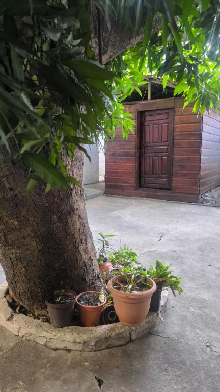 LA CASA DE DON MATILDE h3, San Pedro Sula